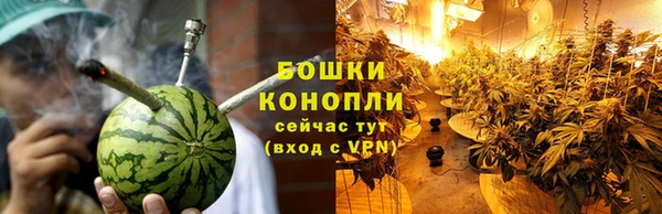 сатива Медвежьегорск