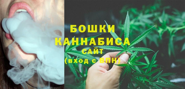 сатива Медвежьегорск