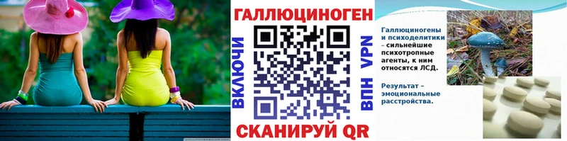 Купить закладки  Ершов  Псилоцибиновые грибы Cubensis 